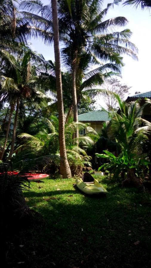 קו צ'אנג Paradise Palms מראה חיצוני תמונה