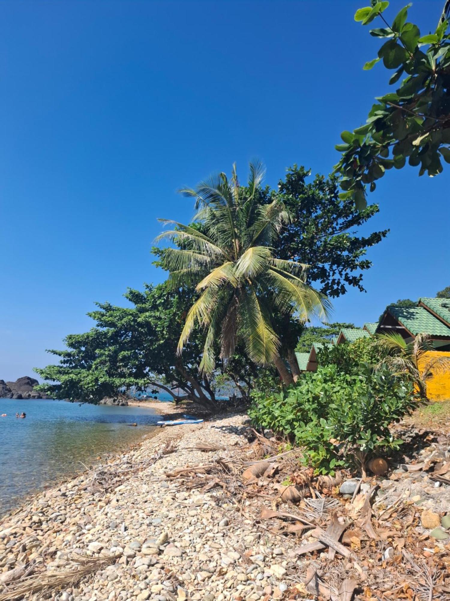 קו צ'אנג Paradise Palms מראה חיצוני תמונה