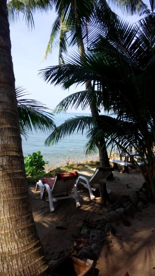 קו צ'אנג Paradise Palms מראה חיצוני תמונה