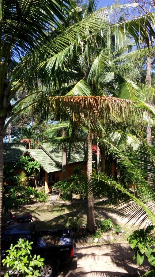 קו צ'אנג Paradise Palms מראה חיצוני תמונה